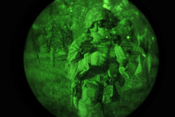 36.75mm Gen 2+ Promotion Image Intensifier Tube OEM Available FOM1200-1600 Green/White for Night Vision PVS31 PVS14 GPNVG
